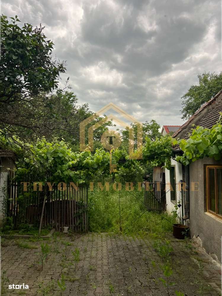 Casă de vânzare în Petrești, Sebeș – teren generos 1961 mp-6