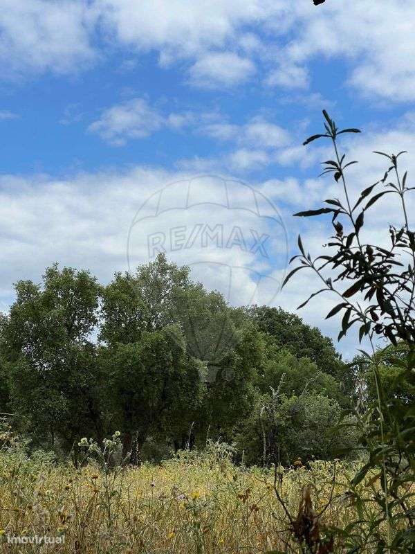 Terreno  para venda - Grande imagem: 4/4