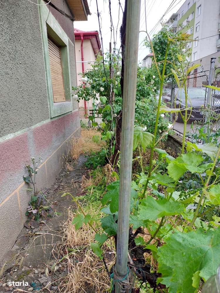 RAMDA,Casa de vanzare 3 camere S+P zona Rogerius teren 587-11