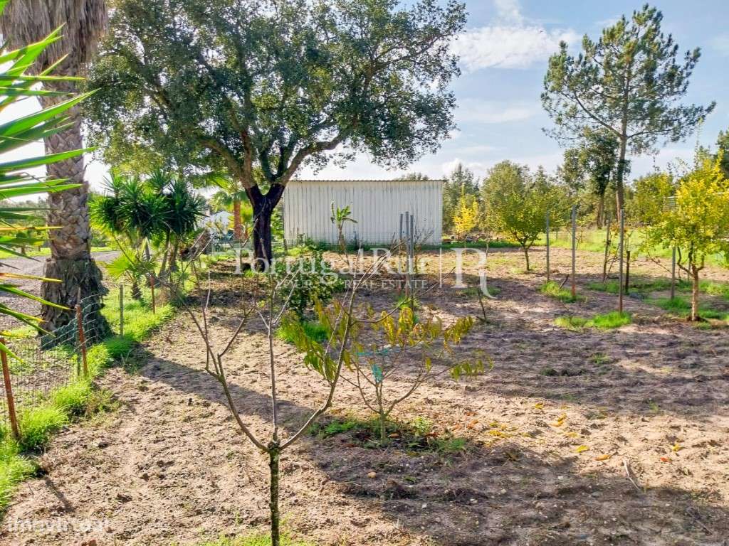 Quinta de 5 hectares, com 2 moradias e piscina-38