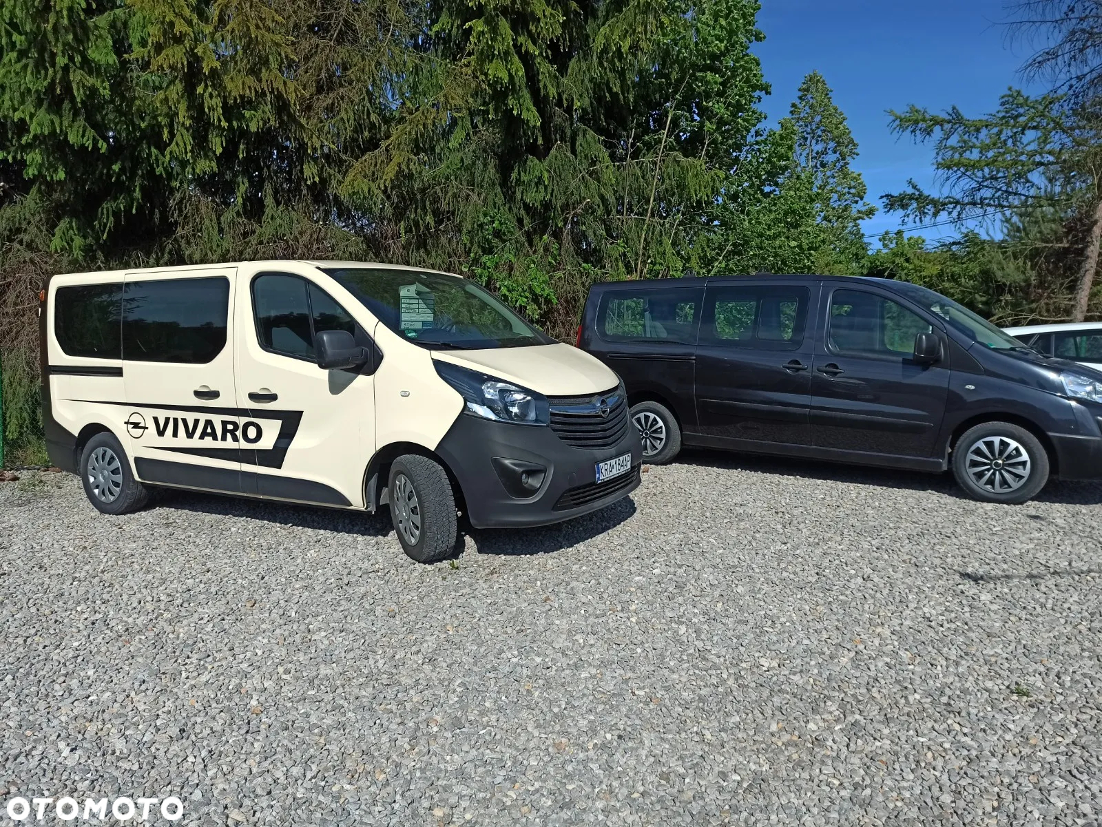 Opel Vivaro 1.6 CDTI L2H1 S&S LKW - 19