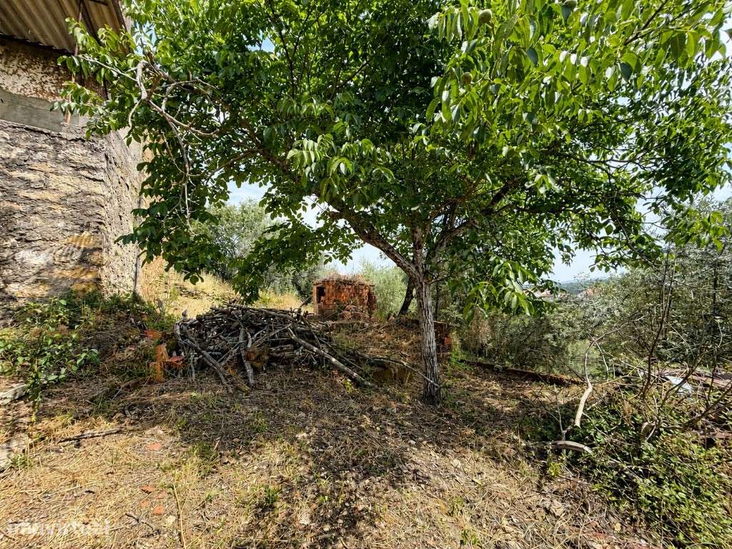 Casa das Ladeiras - Uma Casa com História para Criar o Seu Próximo ...-30