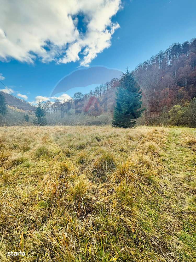 Teren 4,877mp Mara / Strada Principala - Imagine principală: 5/8