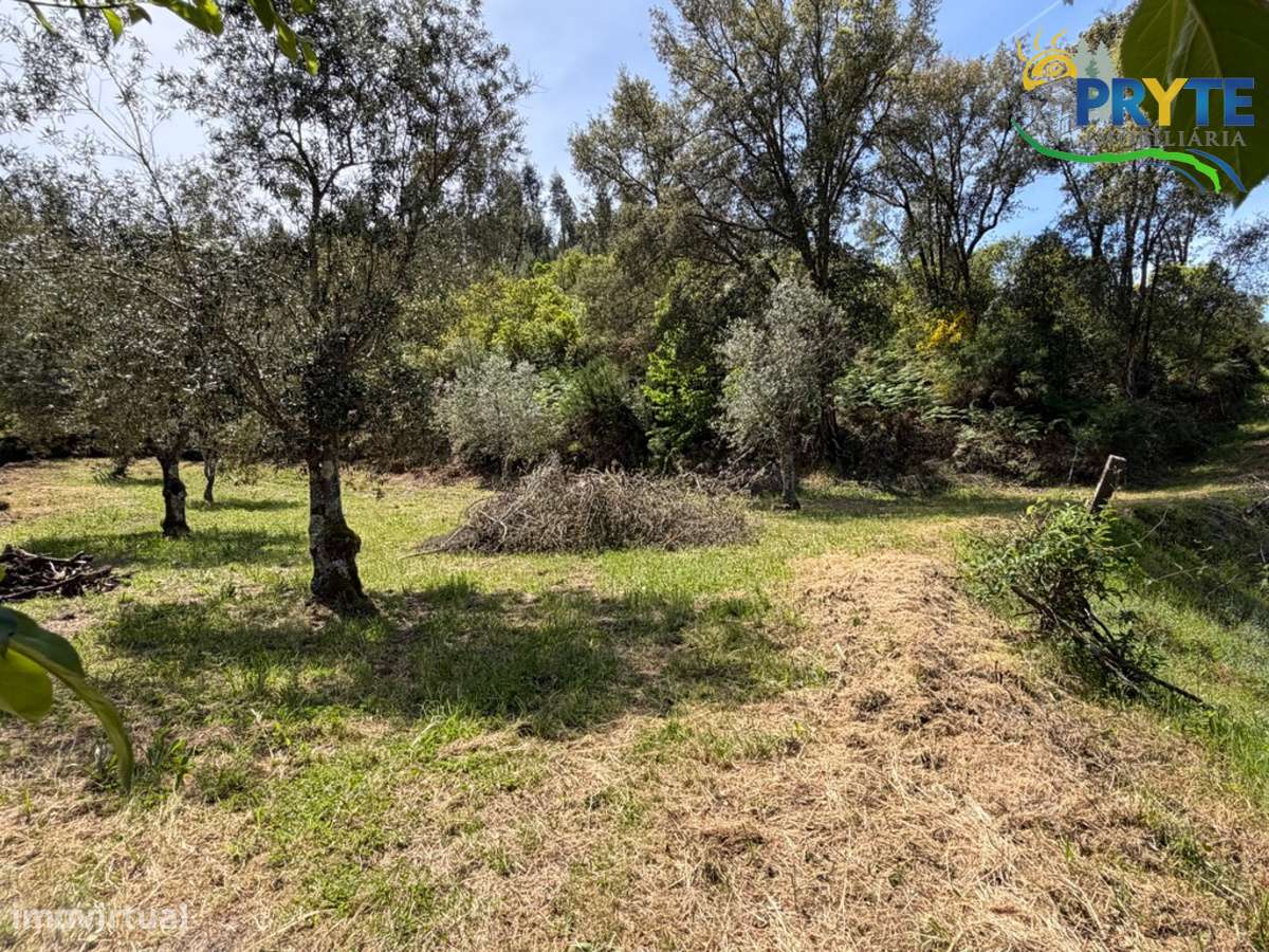 Terreno com uma ruína não registada a 6 quilómetros da Sertã-39