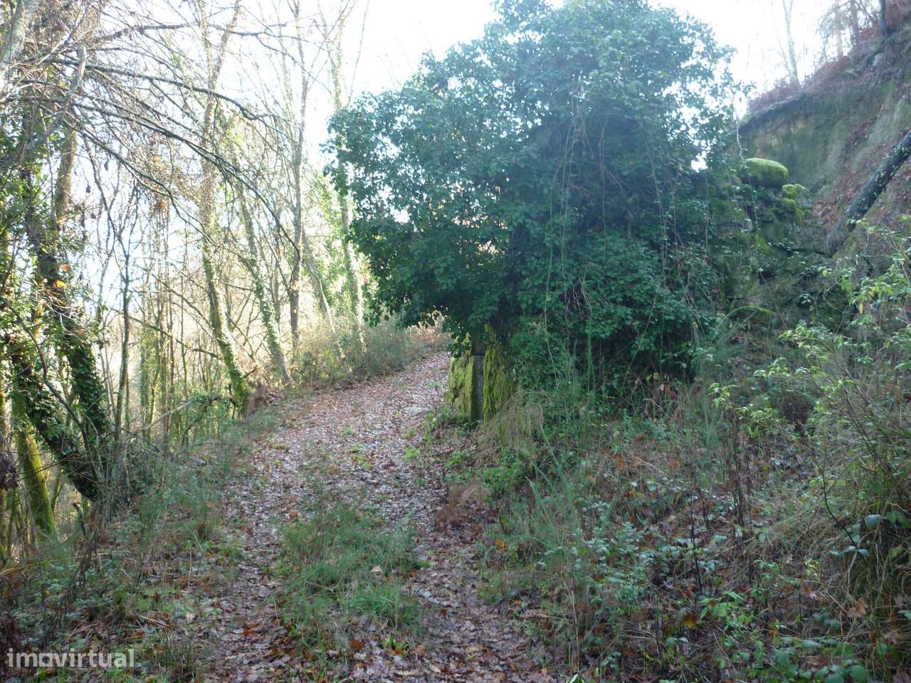 Terreno Junto a Nascente do Rio Ave!!!-8