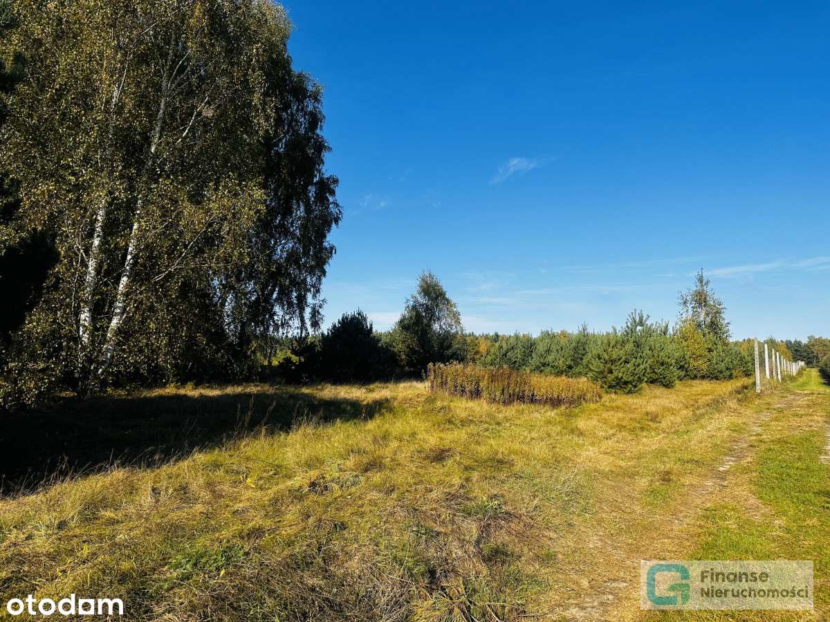 Działka rolno-budowlana 8800 m2, Żurawka - Pełny obrazek: 5/19