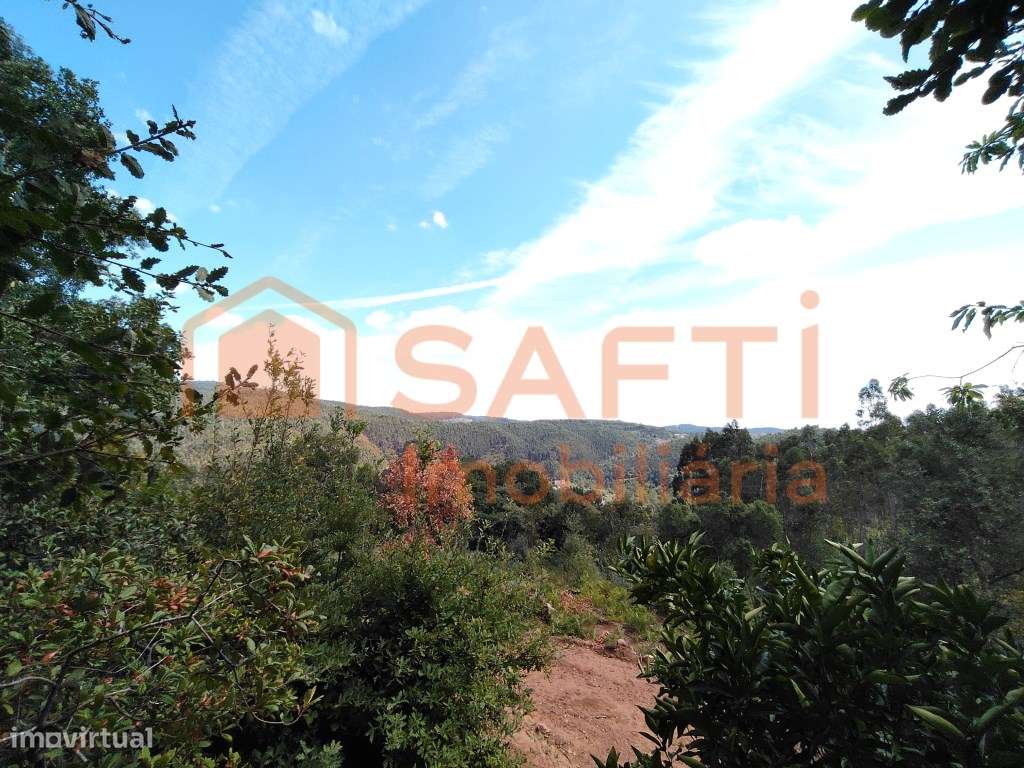 TERRENO RECATADO COM POSSIBILIDADE DE CONSTRUÇÃO. - Grande imagem: 5/55