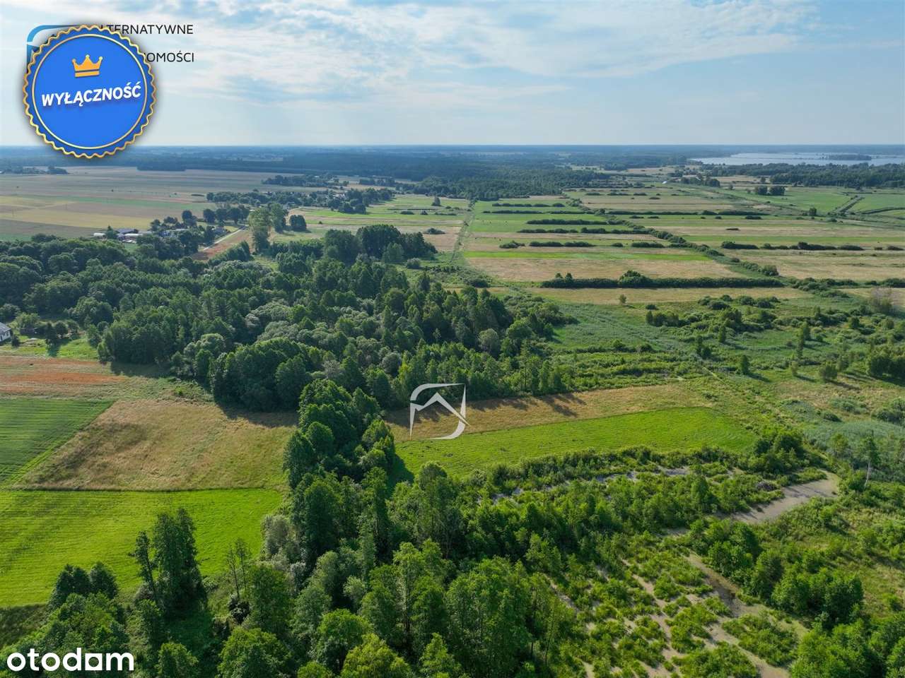 Działka rolna z pokładami torfu - Żminne - Pełny obrazek: 5/11