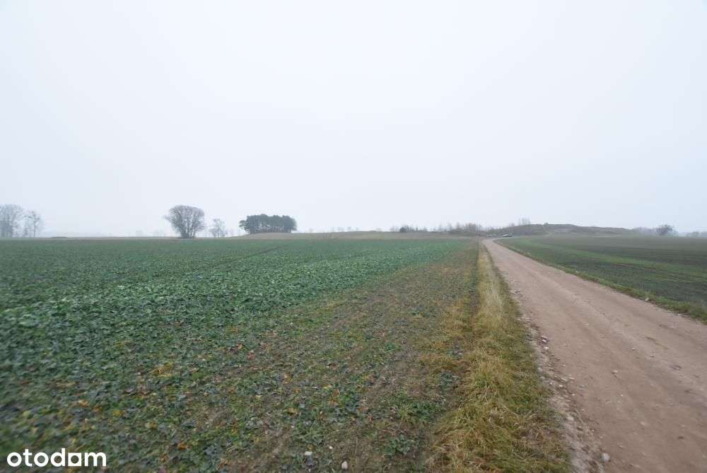 Działka budowlana możliwość budowy 3 domów BRZOZA/Niepruszewo-11