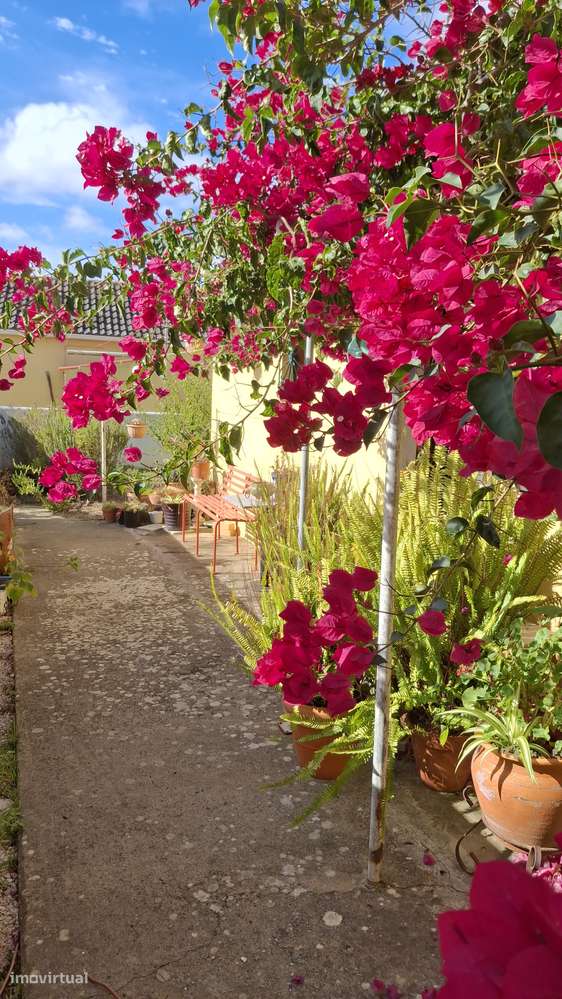 Magnifica propriedade constituída por armazém e moradia bi-familiar.-18