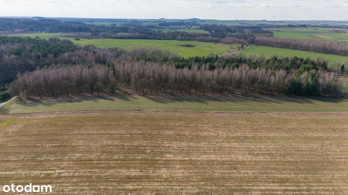 Działka rekreacyjno rolna Czarny Las 1,49ha - Pełny obrazek: 5/20