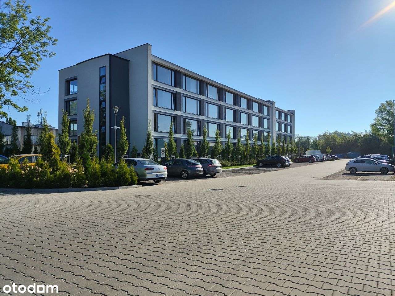 BEZPOŚREDNIO w pełni przygotowane Wysoki standard 3- pomieszczenia - Pełny obrazek: 5/8