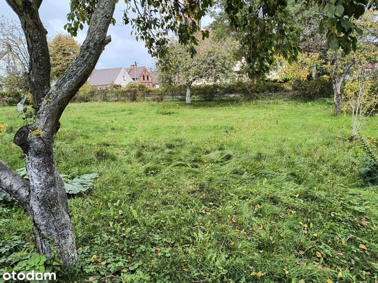 Dom z gruntem 1,6 ha  i pod działalność– Budziechów-1