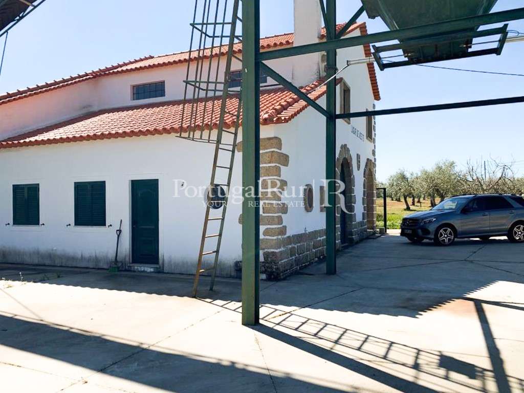 Lagar de azeite completamente renovado - Grande imagem: 3/54