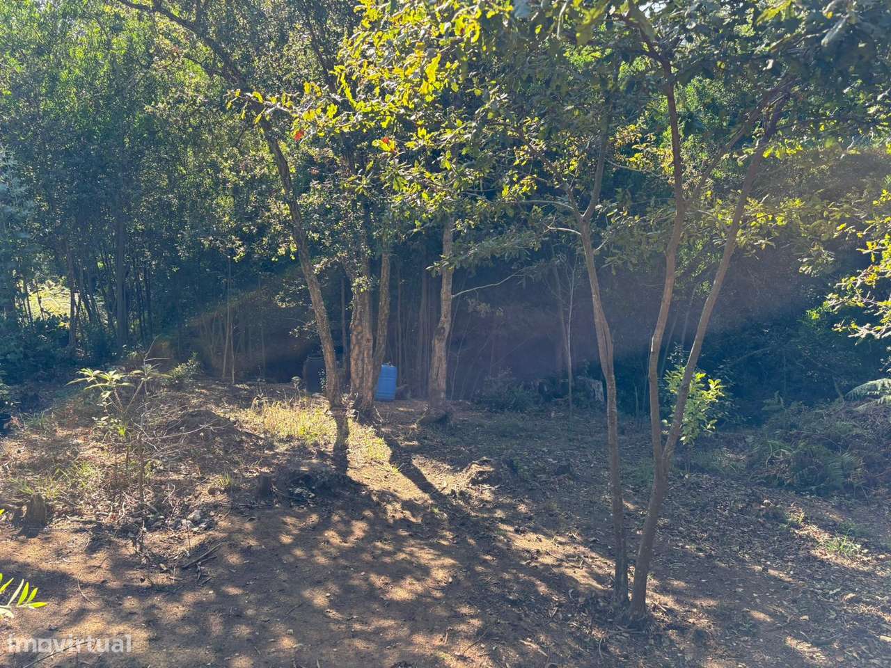 Terreno 1420m² com projeto de muros aprovado - Grande imagem: 5/18