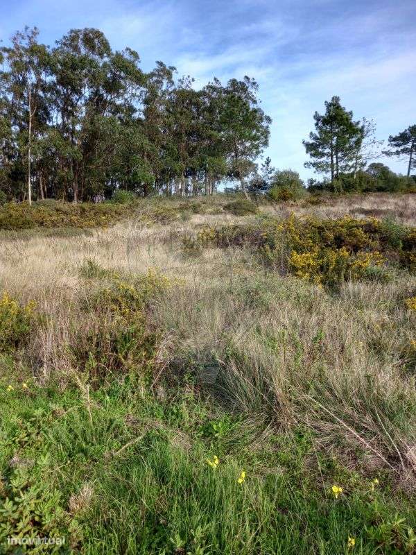 Terreno  para venda - Grande imagem: 2/5