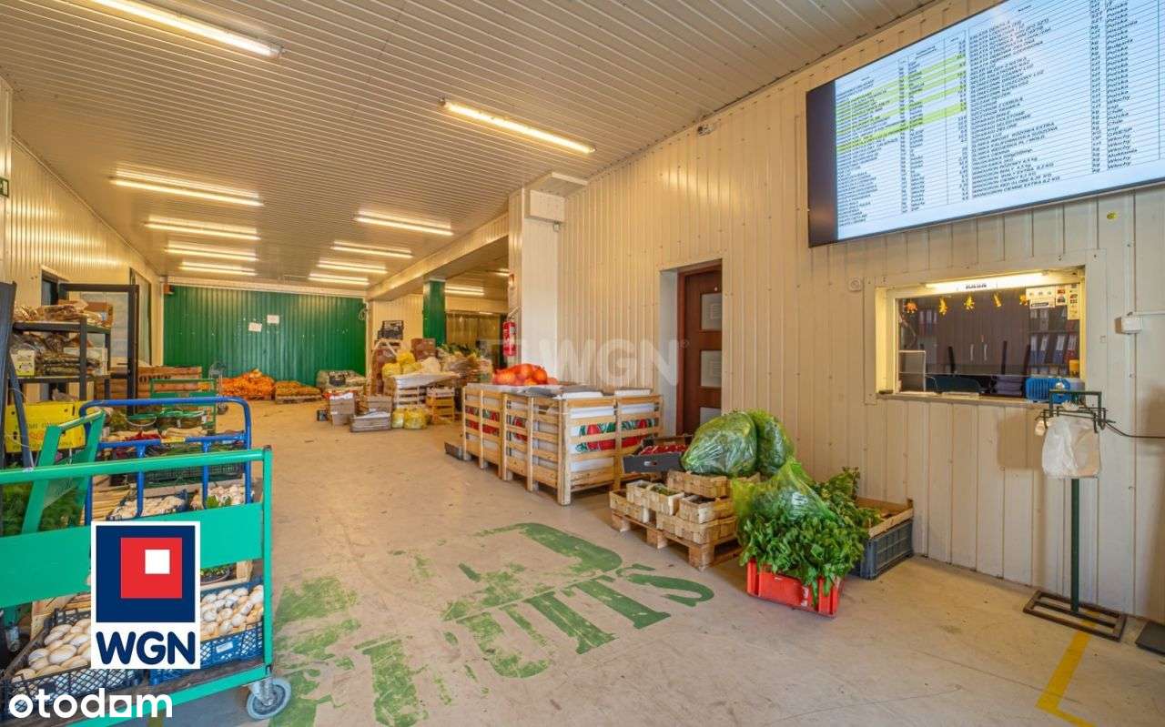 Lokal użytkowy, 284,10 m², Bolesławiec - Pełny obrazek: 5/19