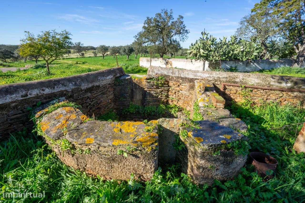 MONTE ALENTEJANO NO ALANDROAL, ÉVORA-45