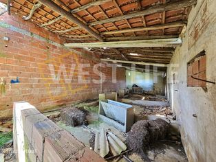 Armazéns Agrícolas e Casa de Habitação inseridos em Terreno Rústico... - Grande imagem: 4/22