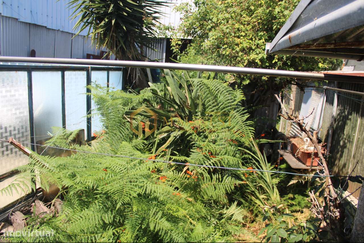 Moradia para Restauro em Oliveira do Douro - Grande imagem: 4/13