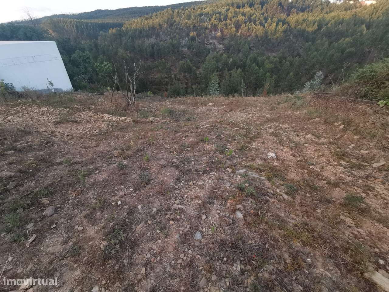 Terreno em Folgosa da Maia-6