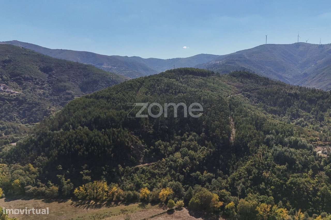 7 Terrenos Rústicos em Folques, Arganil - Grande imagem: 3/15