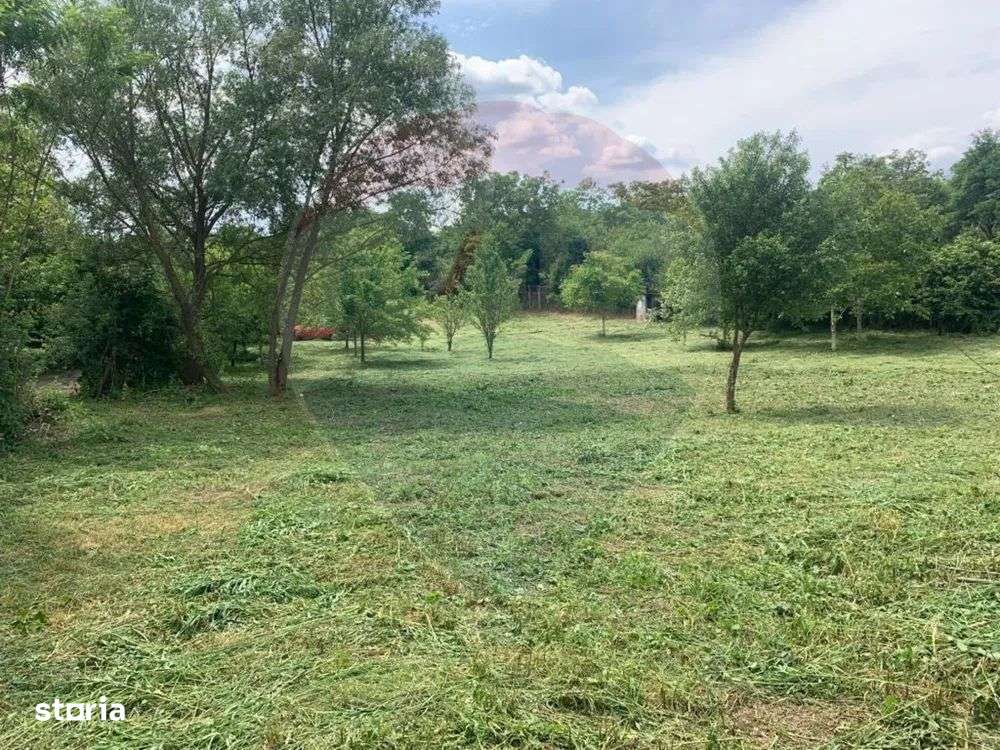 Teren 2877 mp, cu casă bătrânească de vânzare, BOGDA Timiș - Imagine principală: 3/4