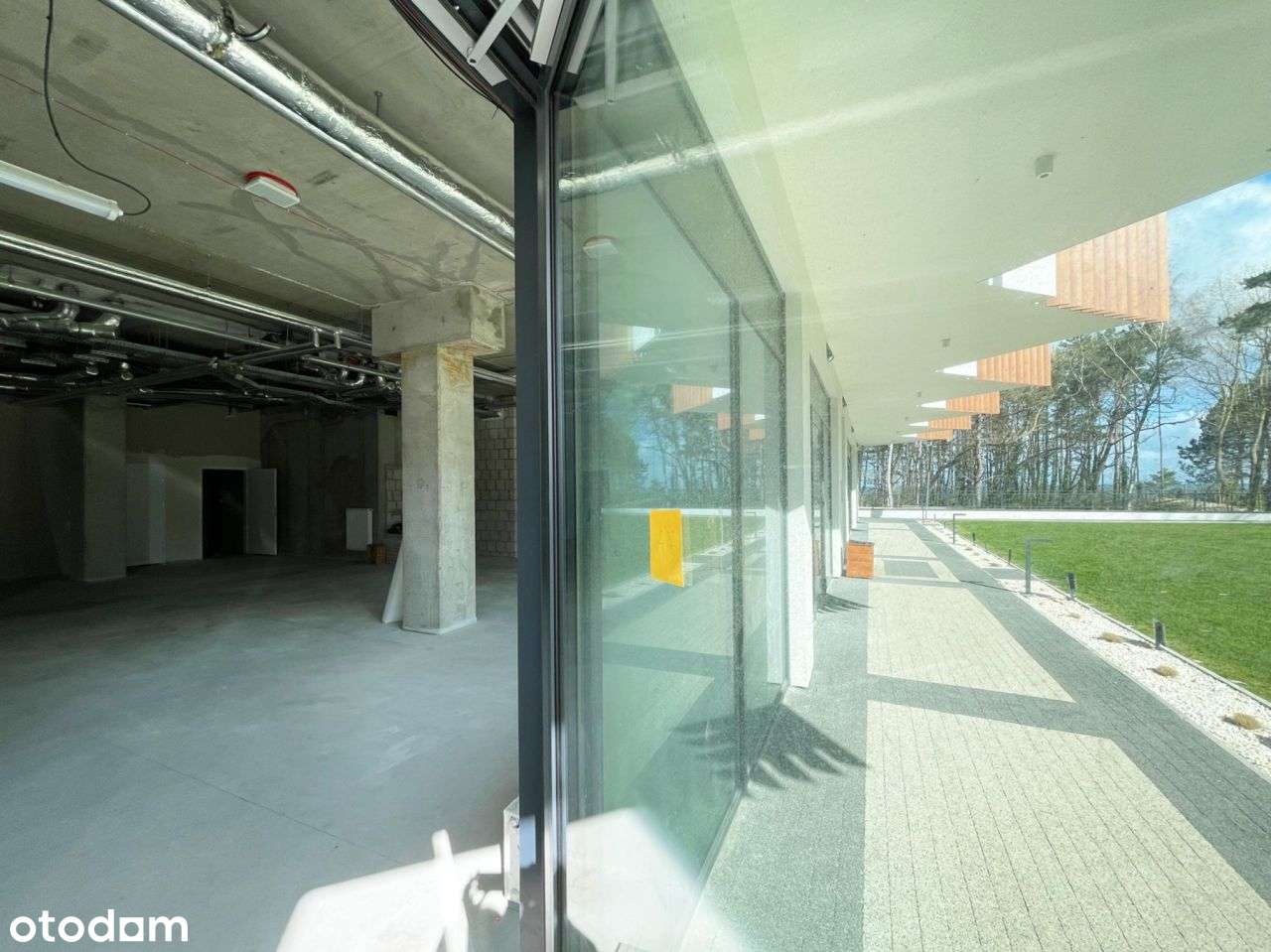 Pinea lokal pod gastronomię/ogródek/30 M do morza - Pełny obrazek: 3/14