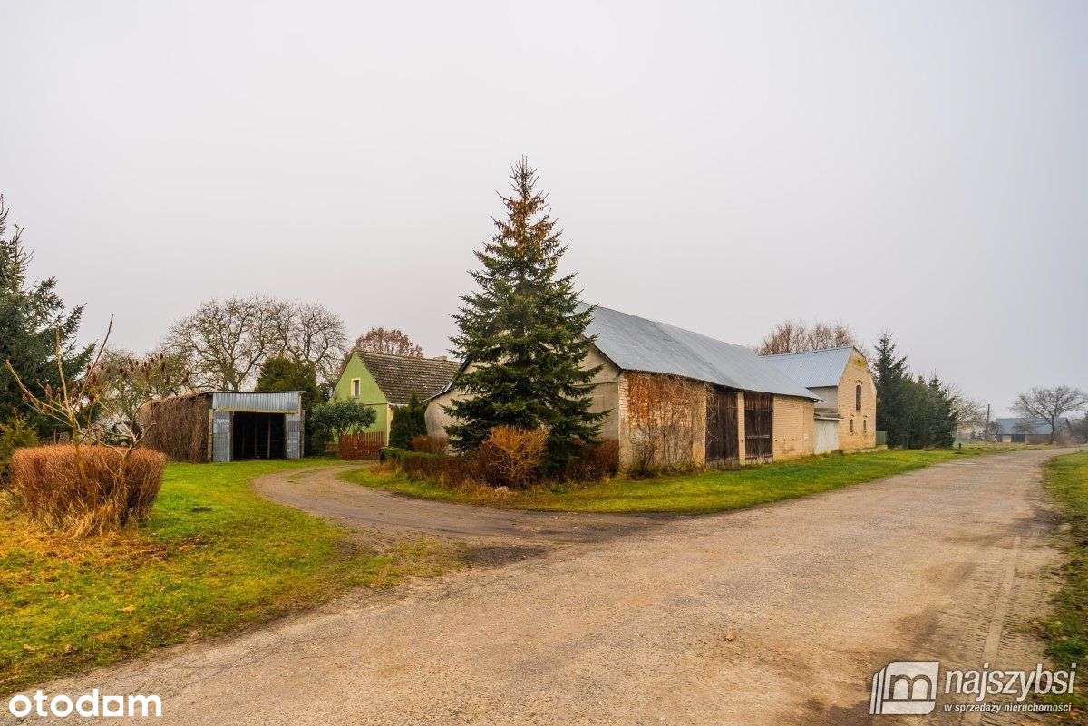 Orzesze - gospodarstwo rolne na skraju wsi - Pełny obrazek: 5/20