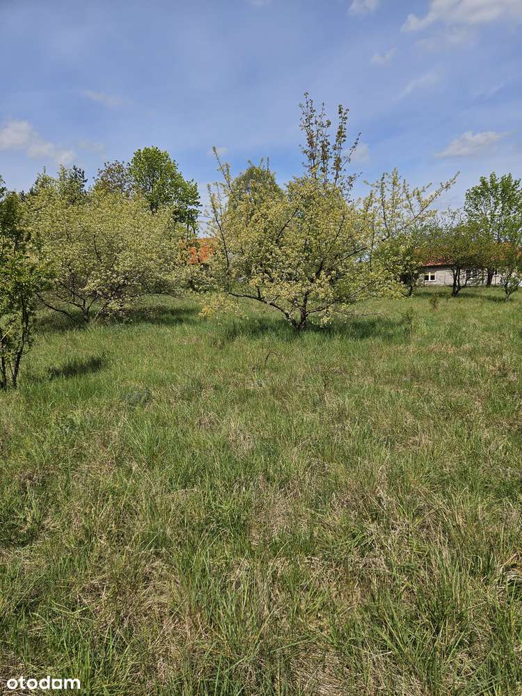 Działka budowalna we wsi Kurki 200 m od jeziora, wydane WZ-10