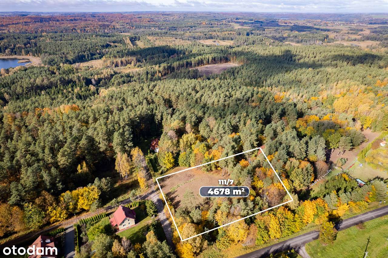 Działka budowlana 4671 m2 Spręcowo Gmina Dywity-5