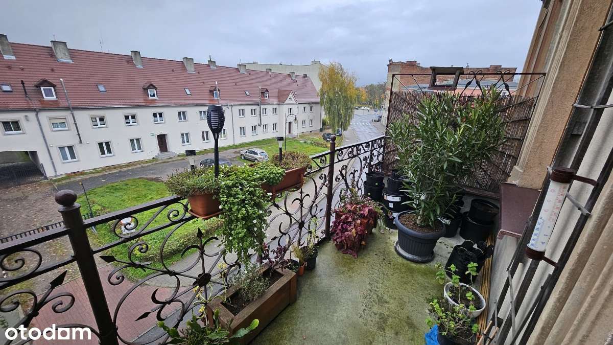 4 pokojowe w centrum miasta dostępne od zaraz - Pełny obrazek: 5/19