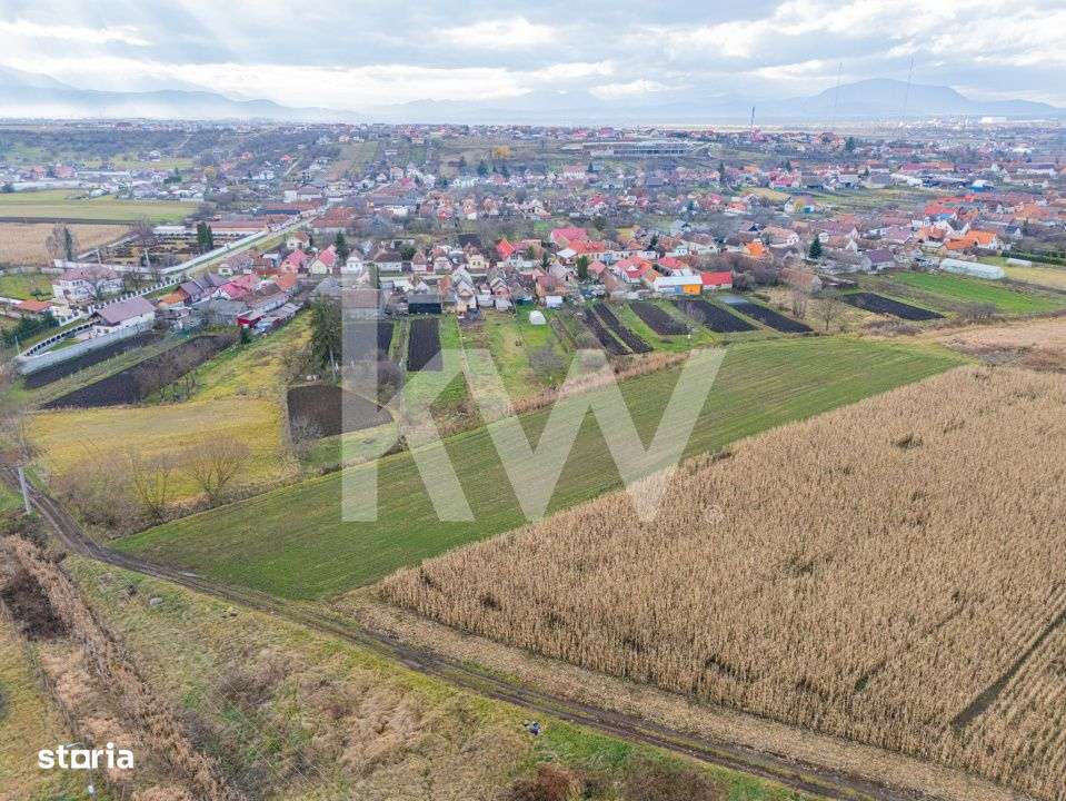 Teren 10000 mp in Extravilan, Bod, Brasov- COMISION 0%-5