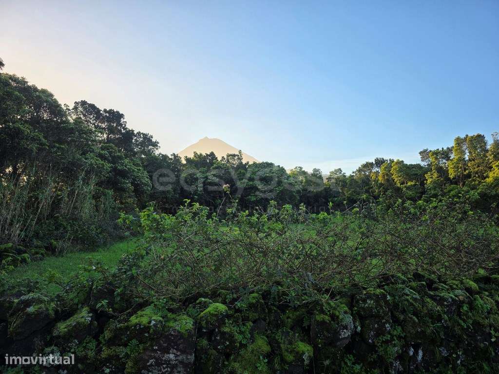 Terreno com vista para a Montanha do Pico na Freguesia das Bandeira... - Grande imagem: 2/14