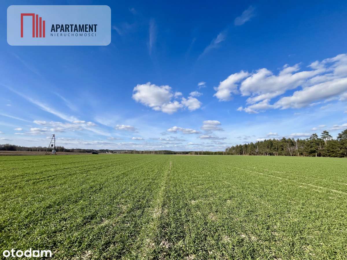 Siedlisko, 5,9 ha, pod inwestycje - Pełny obrazek: 3/14