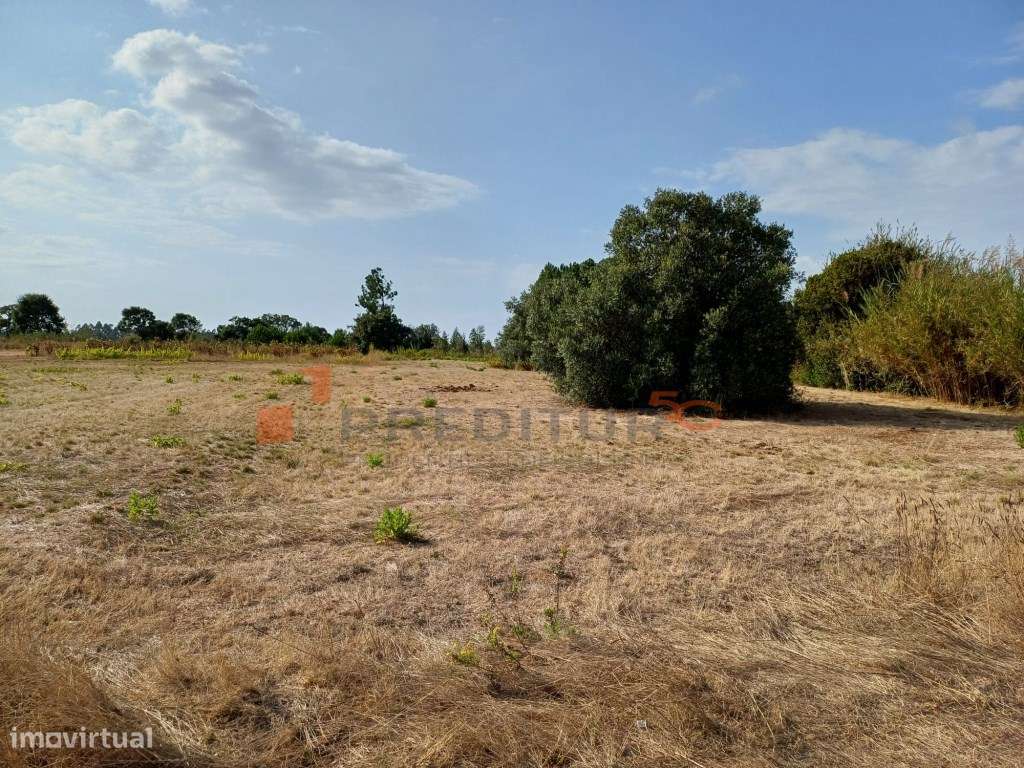 Terreno de 2940 m2 em Zona Urbanizável a 3 Kms das Caldas da Rainha-3