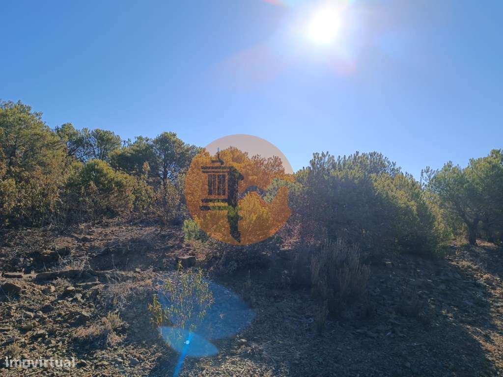 TERRENO COM 74.680 M2 - COM LAGO - POSSIBILIDADE DE CONSTRUÇÃO - TU... - Grande imagem: 4/40