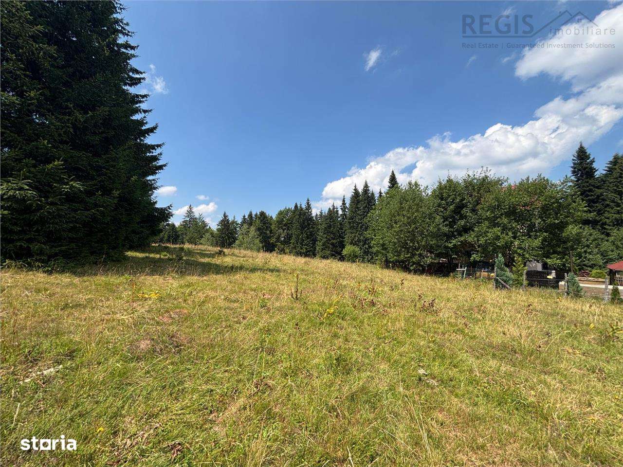 Teren Intravilan 1000MP Utilitati 3 Brazi Predeal - Imagine principală: 2/6