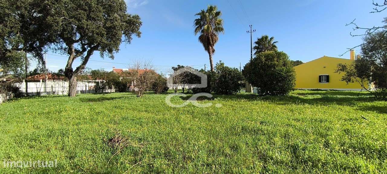 Moradia T3 Glória Ribatejo-11