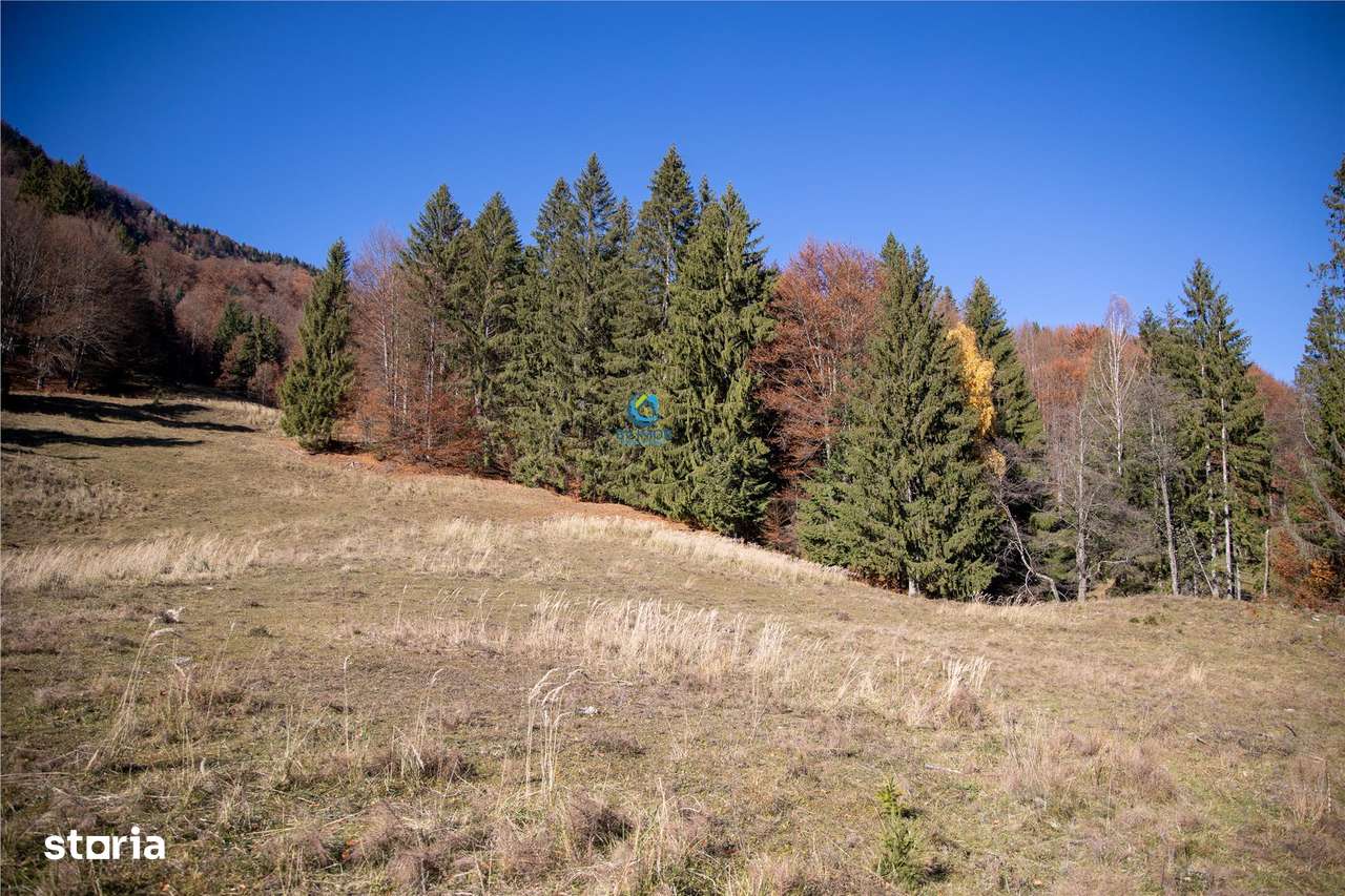 Teren de Vis langa Siriu  – 20000 mp ideal pentru Complex turistic Com-16