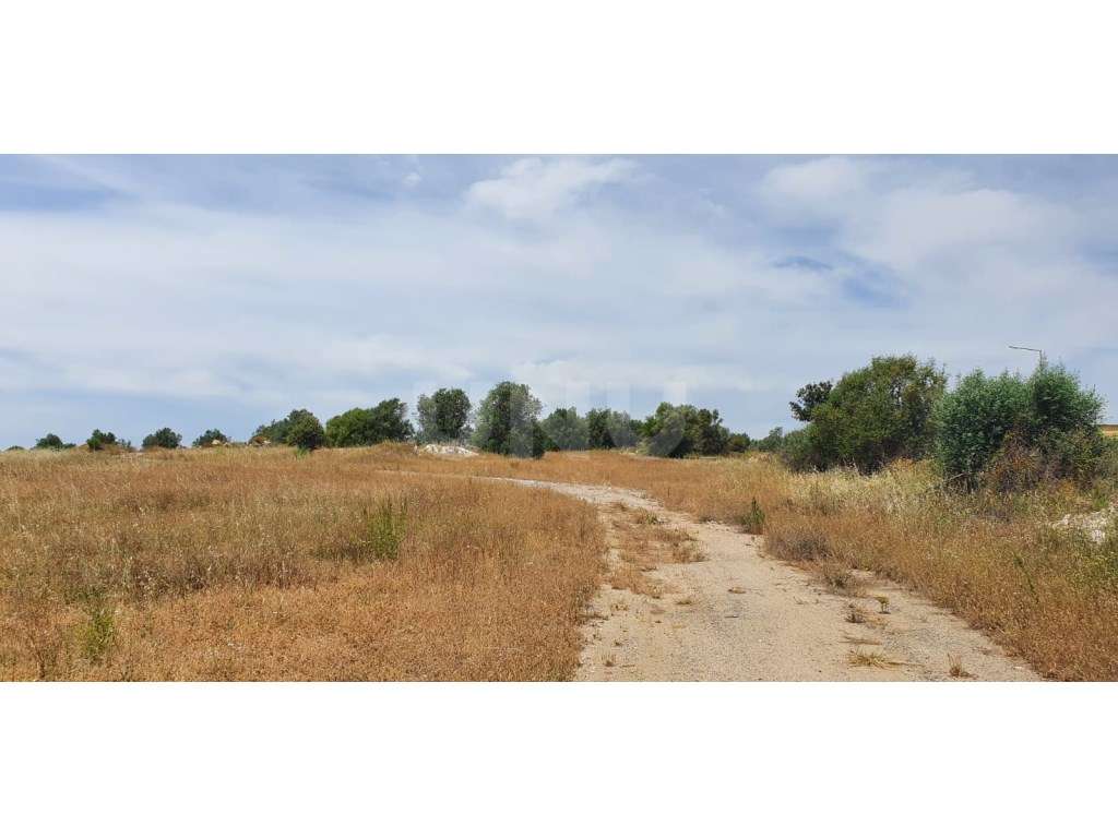 Terreno em Reguengos de Monsaraz-12