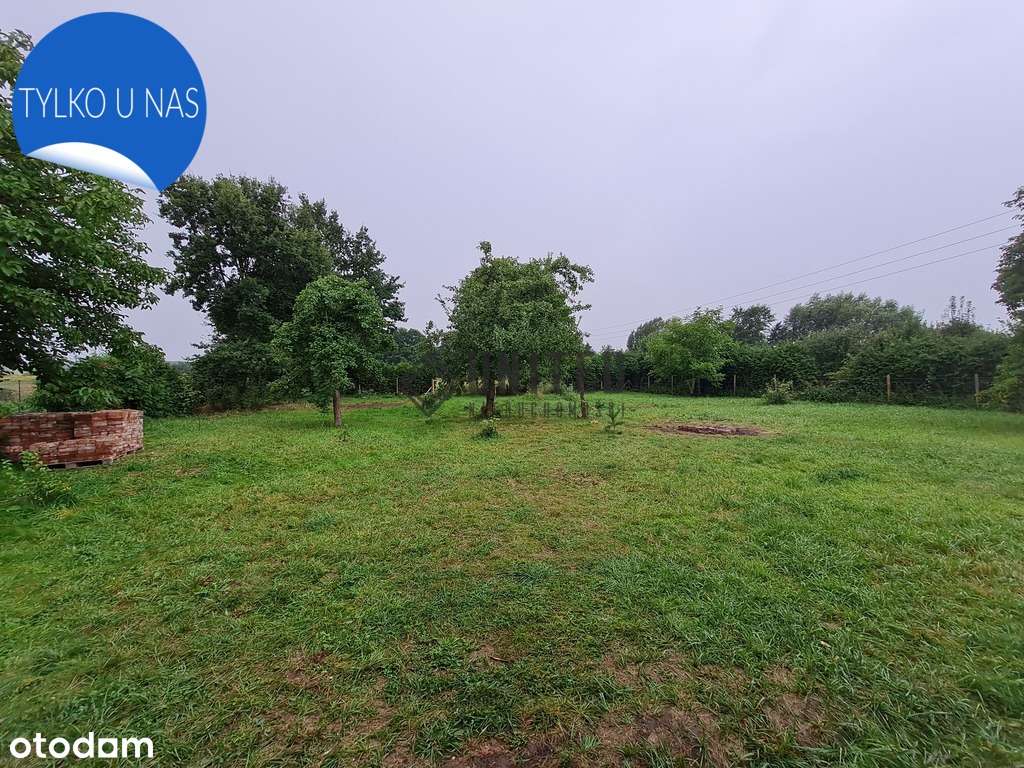 Dom z dużą działką w okolicy Twardogóry - Pełny obrazek: 4/12