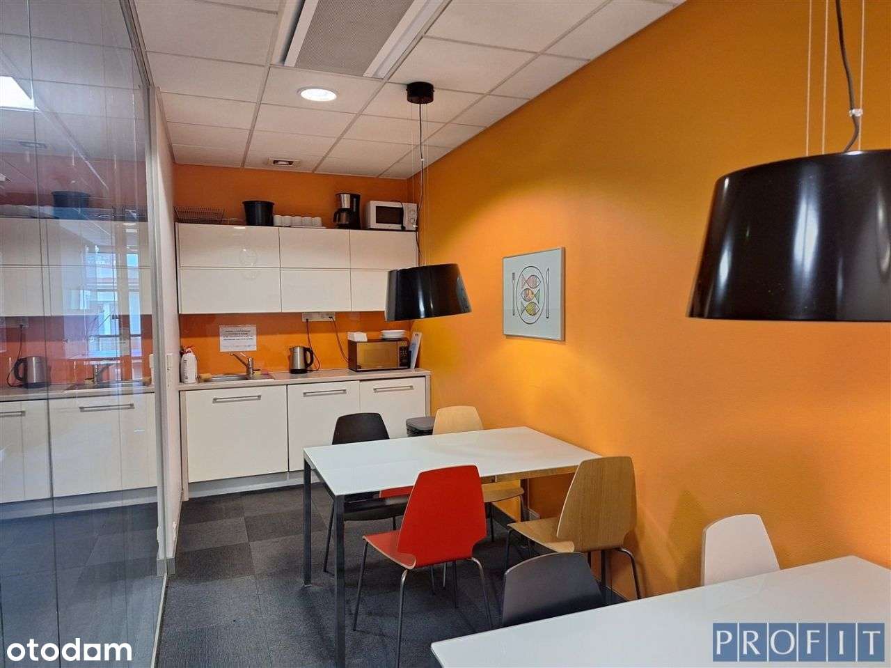 Tychy, biuro 31,5 m², klimatyzacja - Pełny obrazek: 5/9