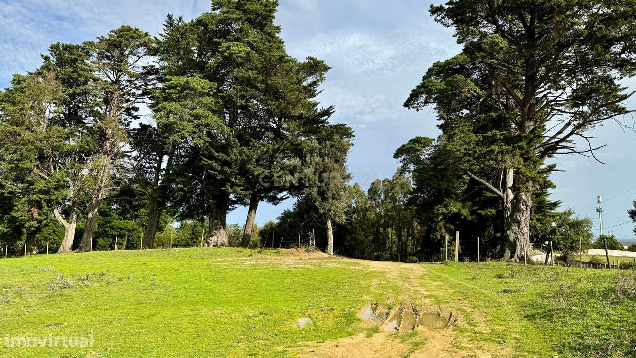 Terreno rústico Malpaga Pequena, Azambuja. Em Venda! - Grande imagem: 3/11