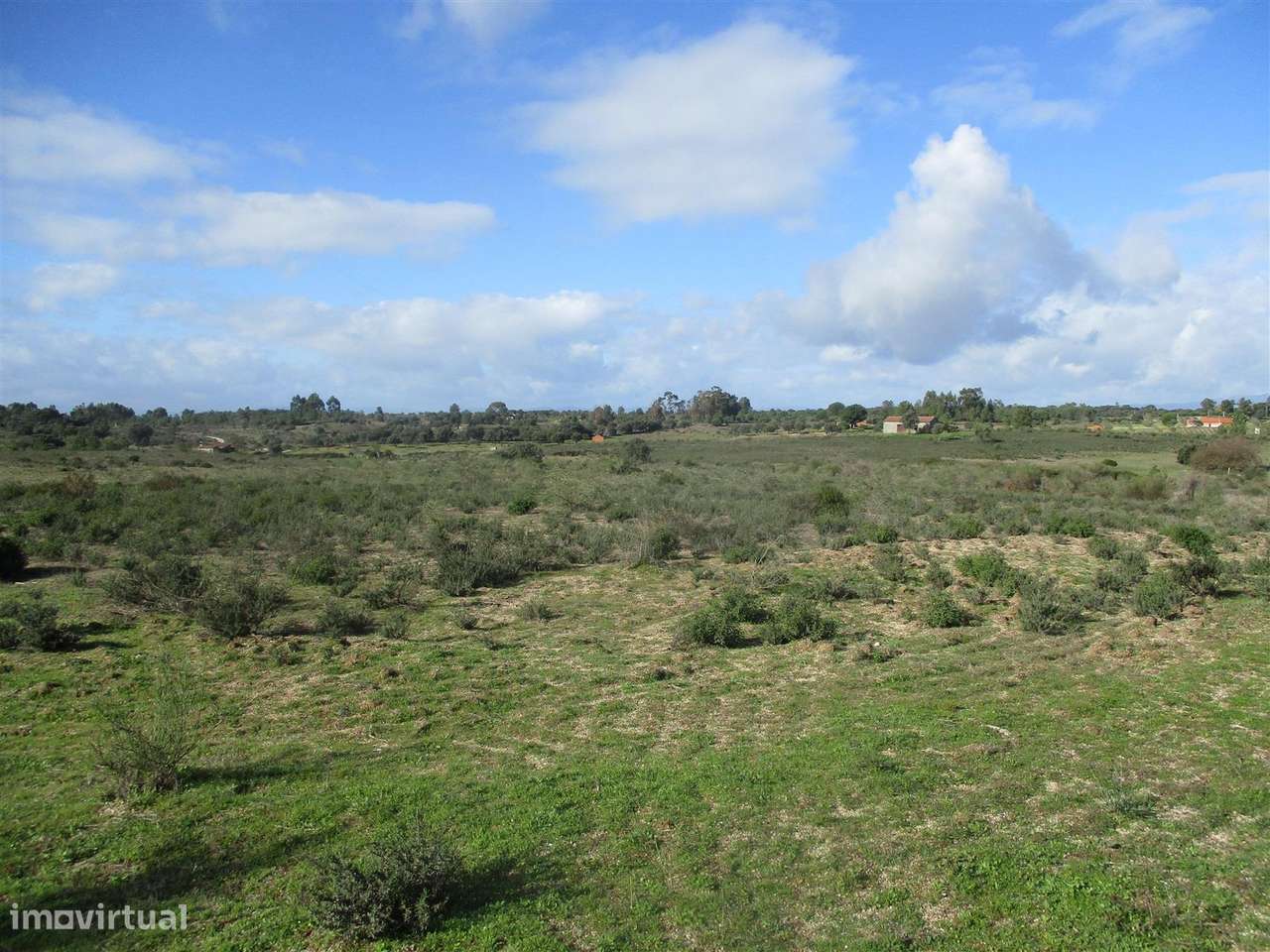 Quinta, Venda - Grande imagem: 2/22