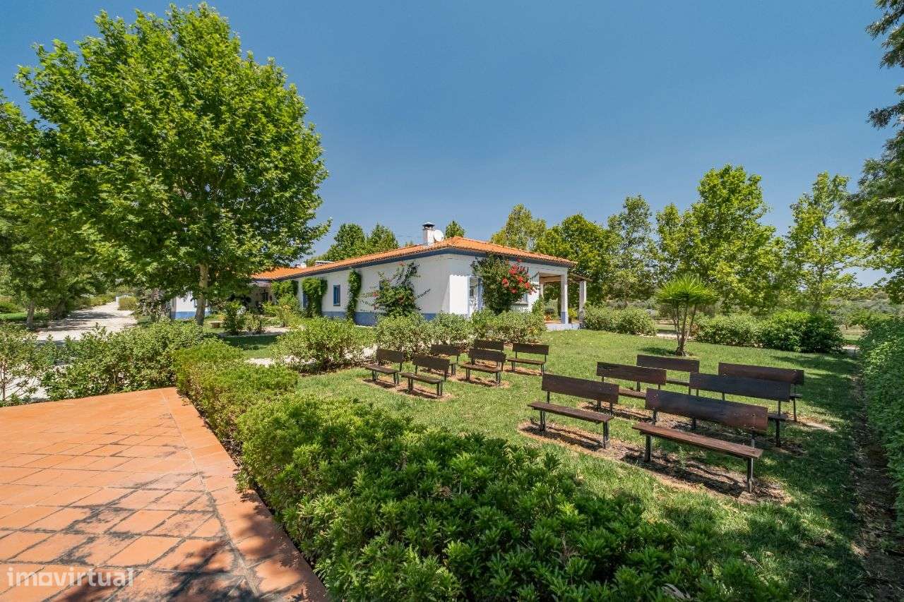 Quinta | Venda | ALENTEJO-46