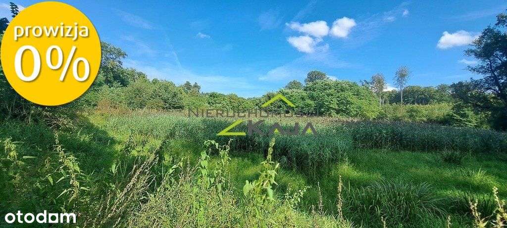 Urokliwie położona działka z lasem i stawem - Pełny obrazek: 3/20