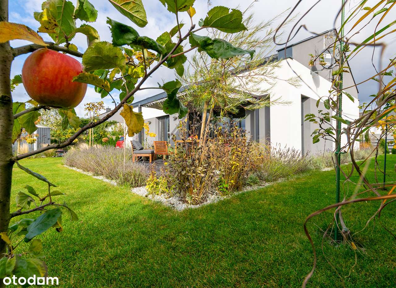 Nowoczesny, wyposażony DOM PREMIUM w Szydłowie-17