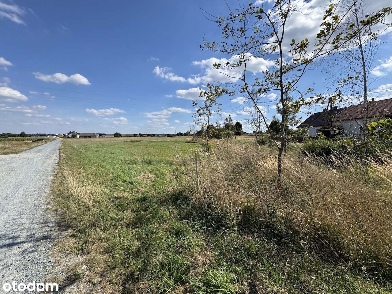 Działka 20 ar w centrum Chojęcina przy asfalcie-9