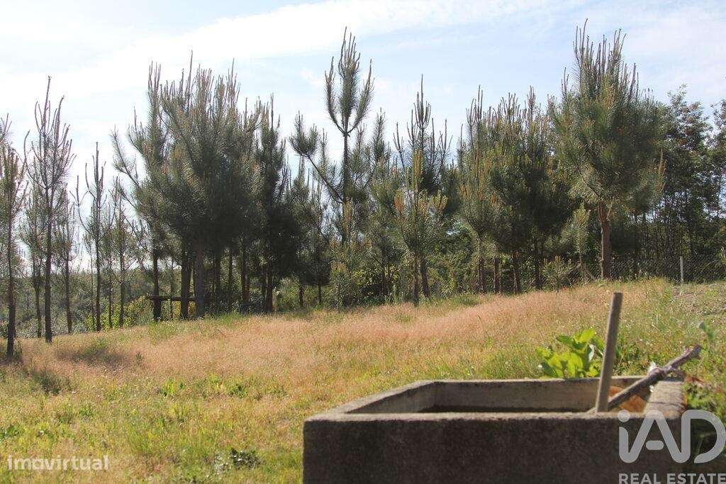 Terreno Agrícola em Oliveira do Hospital e São Paio de Gramaços-14